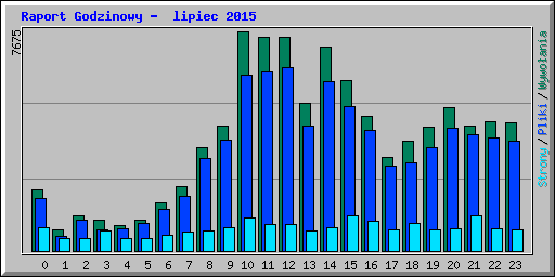 Raport Godzinowy -  lipiec 2015
