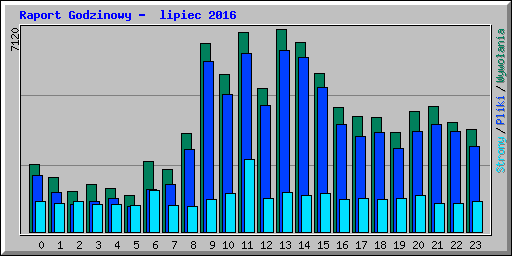Raport Godzinowy -  lipiec 2016