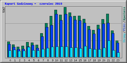 Raport Godzinowy -  czerwiec 2019