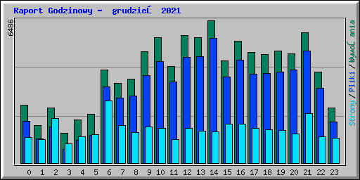 Raport Godzinowy -  grudzień 2021