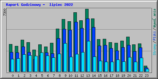 Raport Godzinowy -  lipiec 2022