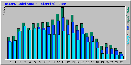 Raport Godzinowy -  sierpień 2022