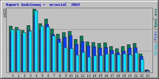 Raport Godzinowy -  wrzesień 2022