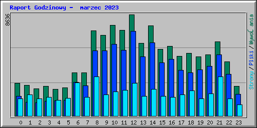 Raport Godzinowy -  marzec 2023