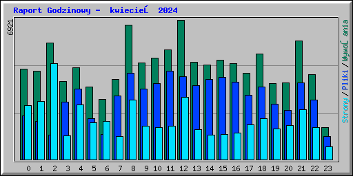 Raport Godzinowy -  kwiecień 2024